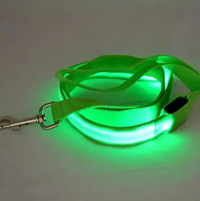 NightPaw™ Glow-in-the-Dark Dog Leash