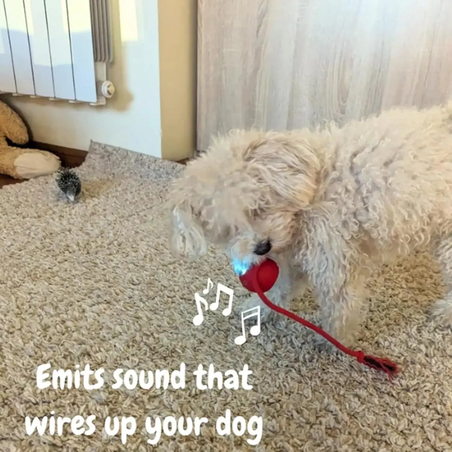 S1264a7e2f78148f9a4deb9b5caa25d47k