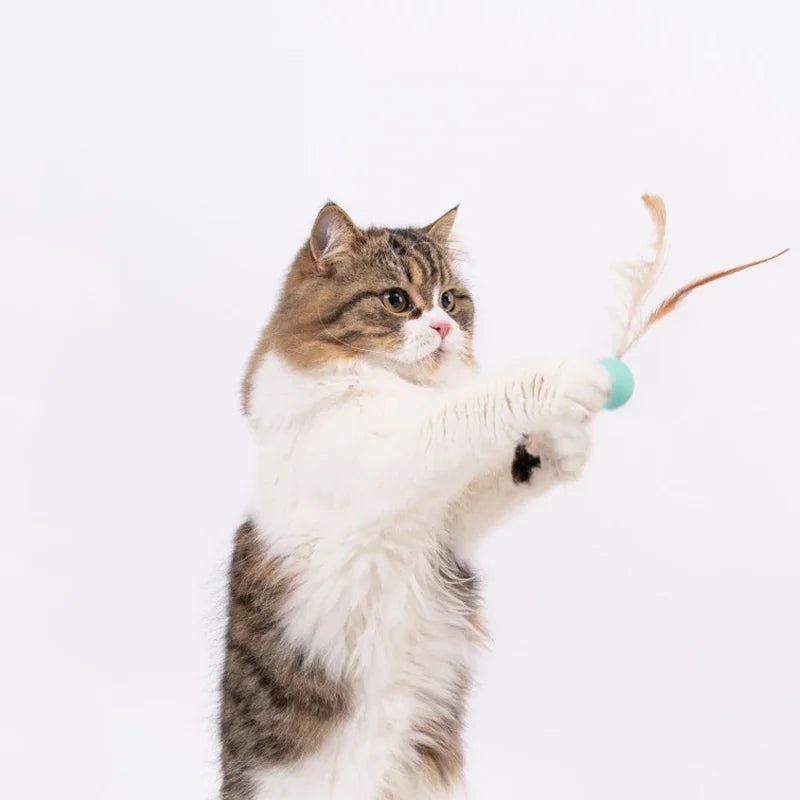 S52215744291748fd81ed646d5a1da658v